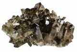 Dark Smoky Quartz Crystal Cluster - Brazil #106968-1